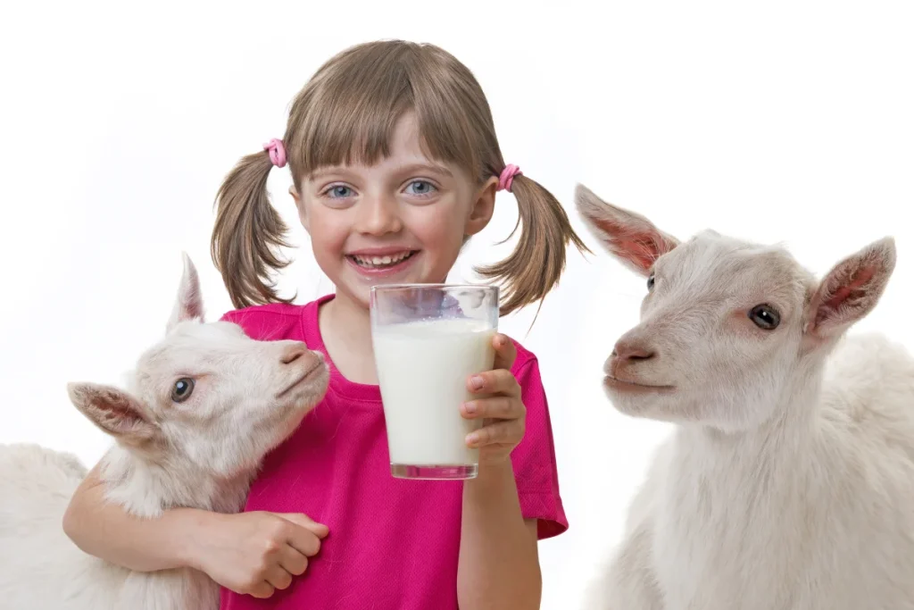 The Health Benefits of Organic Goat Milk: Why It’s a Must-Try